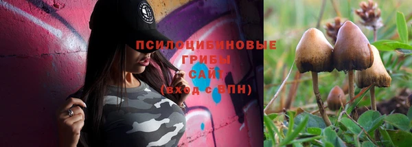 сатива Костерёво
