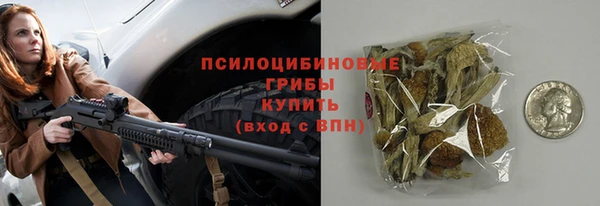 первитин Ельня