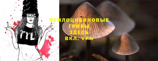 бошки Кодинск