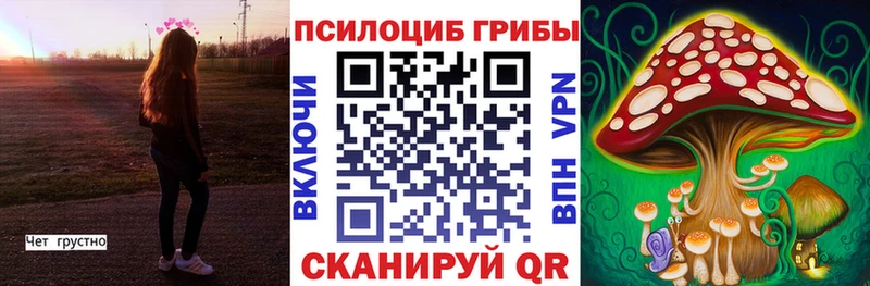 купить наркотик  Жиздра  Псилоцибиновые грибы GOLDEN TEACHER 